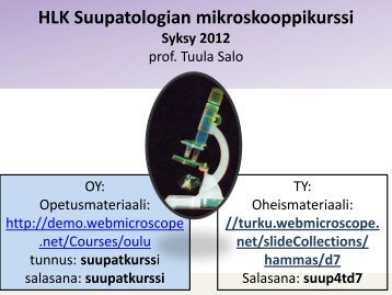 (IF)-tutkimus B) RNA/DNA-eristys