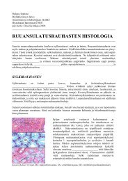 RUUANSULATUSRAUHASTEN HISTOLOGIA - Oulun yliopisto