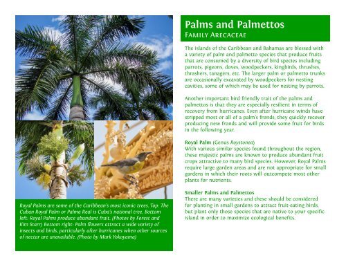 Heritage Plants: Native Trees and Plants for Birds and People in the Caribbean
