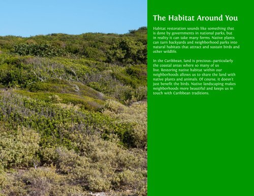 Heritage Plants: Native Trees and Plants for Birds and People in the Caribbean