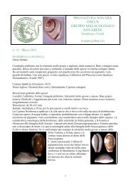 pro natura novara onlus gruppo malacologico novarese