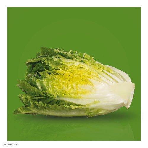 2022-23 catalogue-SALADE abri