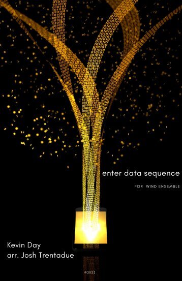 Day_enter data sequence SCORE