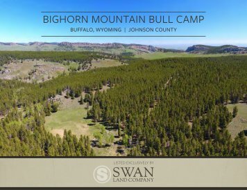 Bighorn Mountain Bull Camp Offering Brochure
