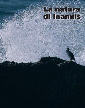 Ioannis Schinezos è un fotografo professionista, ma non solo
