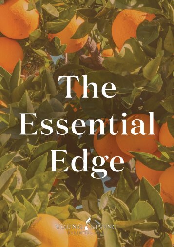 Q3 Essential Edge