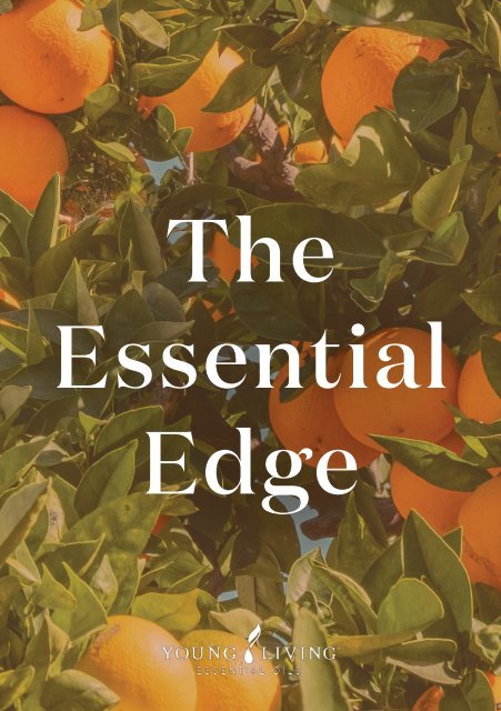 Q3 Essential Edge