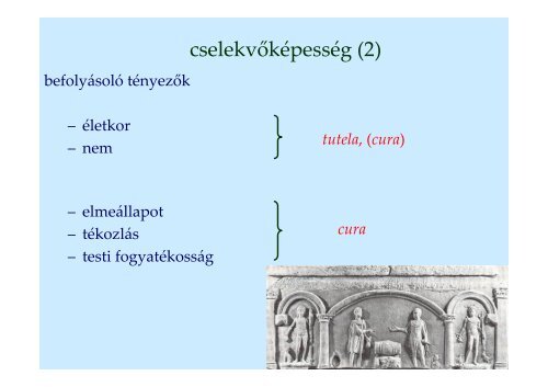 XIV. - Cselekvőképesség (2). A jogi személy