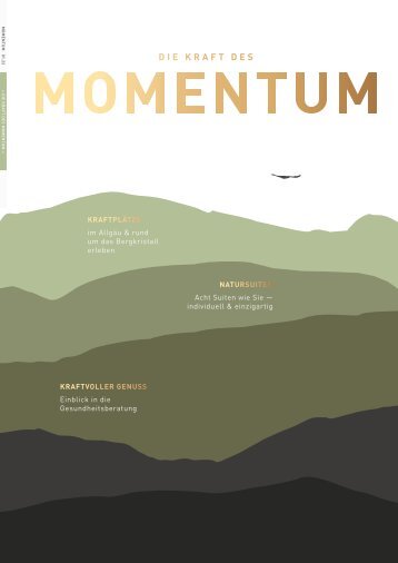 momentum