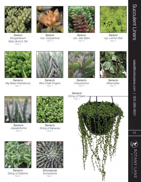 Botany Lane Liner Catalog