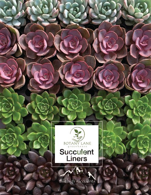 Botany Lane Liner Catalog