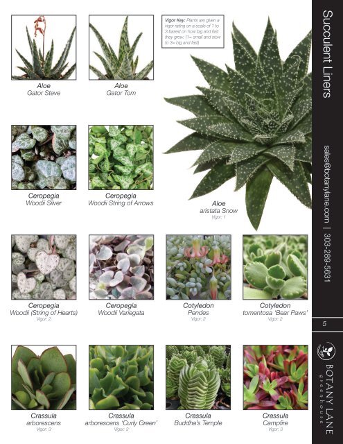 Botany Lane Liner Catalog
