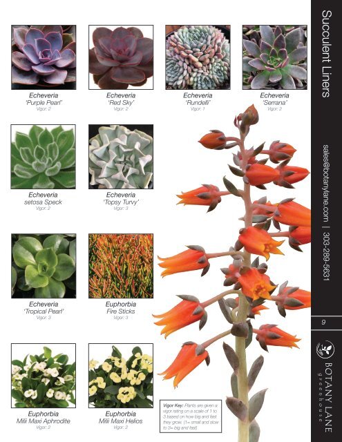 Botany Lane Liner Catalog
