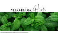 YLEO-PEDIA_Herbs (#1)