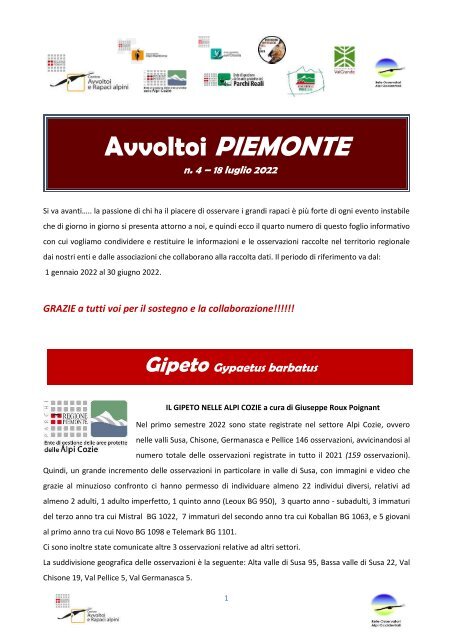 Avvoltoi Piemonte n. 4 | luglio 2022