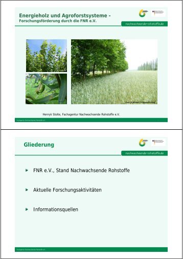 Energieholz und Agroforstsysteme - Forschungsförderung ... - TLL