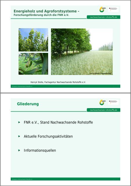 Energieholz und Agroforstsysteme - Forschungsförderung ... - TLL