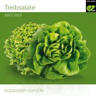 Leaflet Treibsalate 2022