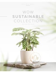 WOW Sustainable Collection