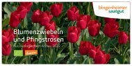 Bingenheim_Blumenzwiebel2022_hp