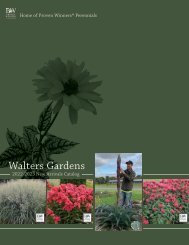 2022 Walters Gardens New Variety Catalog