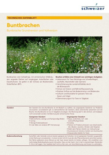 2021_118_Technisches_Datenblatt_Buntbrachen_DE_ANSICHT