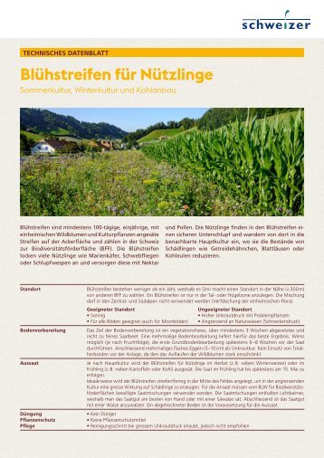 2021_118_Technisches_Datenblatt_Blühstreifen-für-Nützlinge_DE_ANSICHT