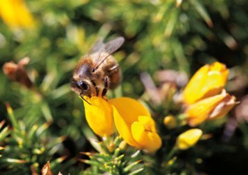 Exposition itinérante "Une année de biodiversité en Bretagne"