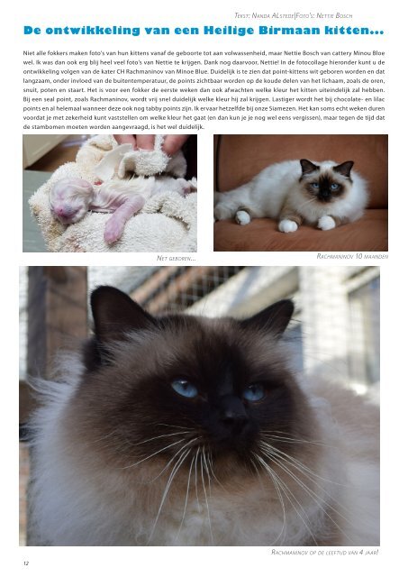 Mundikat Magazine edition 2-2018