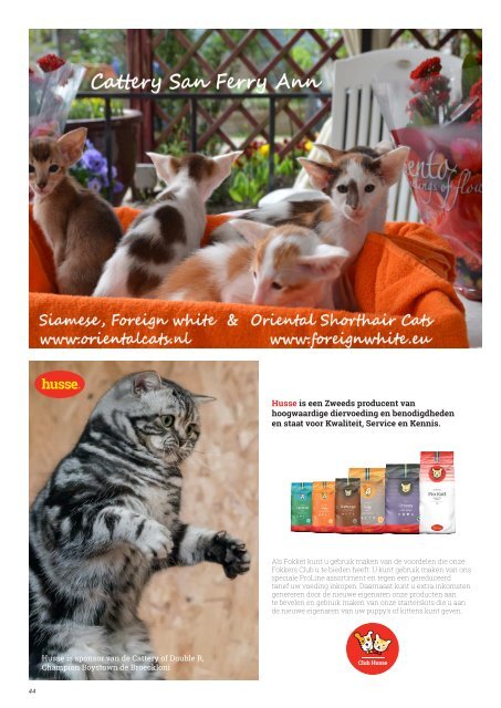 Mundikat Magazine edition 5-2018