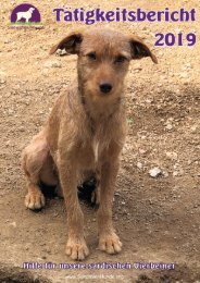 Tätigkeitsbericht  SardinienHunde e.V. 2019