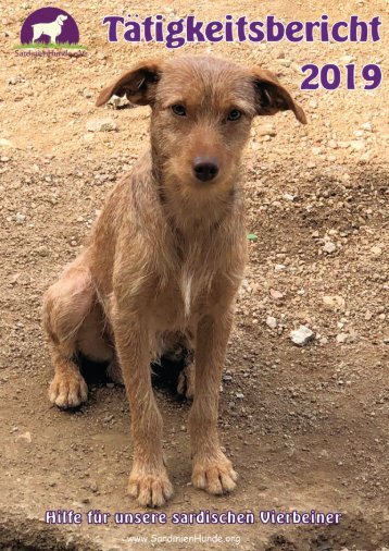 Tätigkeitsbericht  SardinienHunde e.V. 2019