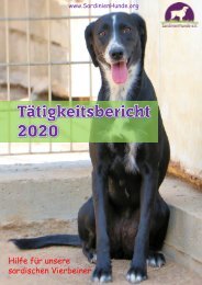 Tätigkeitsbericht SardinienHunde 2020