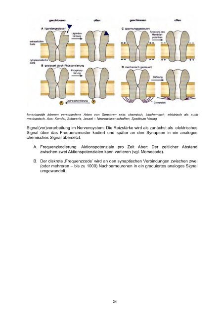 Sensors and Actuators - Fachbereich Physik der Universität ...