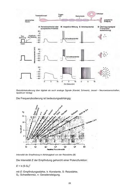 Sensors and Actuators - Fachbereich Physik der Universität ...