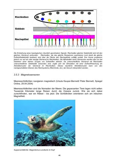 Sensors and Actuators - Fachbereich Physik der Universität ...