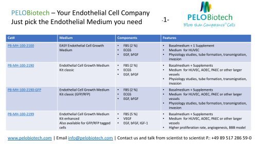 Endothelial Cell Media Overview 2022
