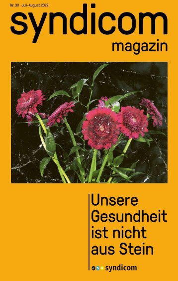 syndicom magazin Nr. 30 ¦ Unsere Gesundheit ist nicht aus Stein