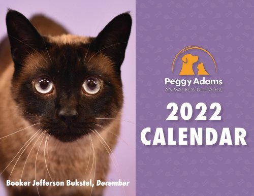 2022 Calendar Design