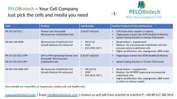 LSECs & Media Overview