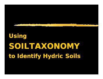 SOILTAXONOMY