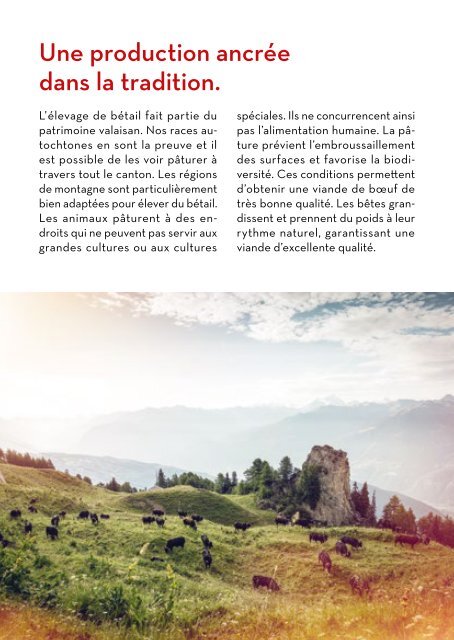 Viande de boeuf - L'excellence se distingue