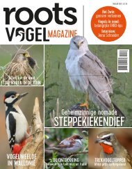 Vogelmagazine 2 2022 - Inkijkexemplaar