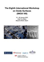 The Eighth International Workshop on Oxide Surfaces (IWOX VIII)