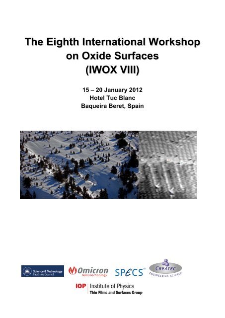 The Eighth International Workshop on Oxide Surfaces (IWOX VIII)