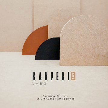 Kanpeki Labs Pro_Brochure