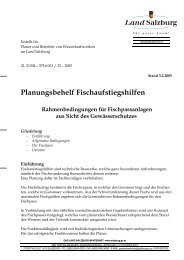 Planungsbehelf Fischaufstiegshilfen - Rettet die Ybbs-Äsche