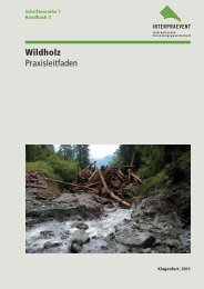 Wildholz Praxisleitfaden - Interpraevent