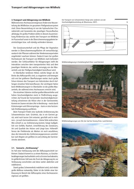 Wildholz Praxisleitfaden - Interpraevent