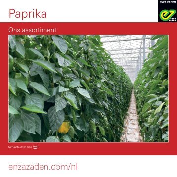 Enza Zaden Paprika assortiment 2022 | 2023